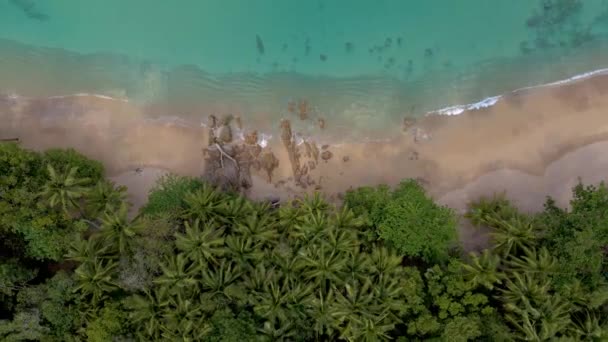 Banana Beach phuket Thaïlande, plage de sable blanc avec vue sur les palmiers de drone vue aérienne à la plage de Phuket Thaïlande — Video