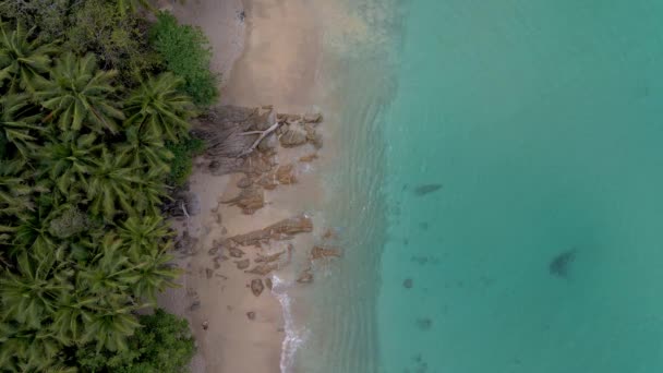 Banana Beach Phuket Thailand, weißer Sandstrand mit Palmen Blick aus der Drohne Luftaufnahme am Strand in Phuket Thailand — Stockvideo