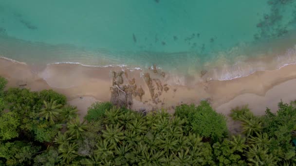 Μπανάνα Beach Πουκέτ Ταϊλάνδη, λευκή αμμώδης παραλία με φοίνικες θέα από drone εναέρια θέα στην παραλία στο Πουκέτ της Ταϊλάνδης — Αρχείο Βίντεο