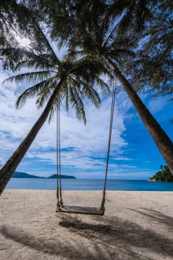 Phuket Tayland sahilinde palmiye ağaçları arasında sallan.