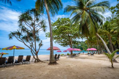Tayland 'ın güneyindeki Phuket' te Surin plajı, Phuket 'te çok ünlü bir turistik yerdir. Güzel bir plaj, etrafında palmiyeler olan güzel bir tropikal plaj manzarası vardır. Tatil ve tatil kavramı.