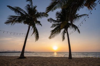 Najomtien plajı Pattaya Tayland, palmiye ağaçlı tropik bir sahilde gün batımı