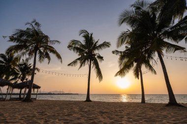 Najomtien plajı Pattaya Tayland, palmiye ağaçlı tropik bir sahilde gün batımı
