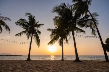 Najomtien plajı Pattaya Tayland, palmiye ağaçlı tropik bir sahilde gün batımı