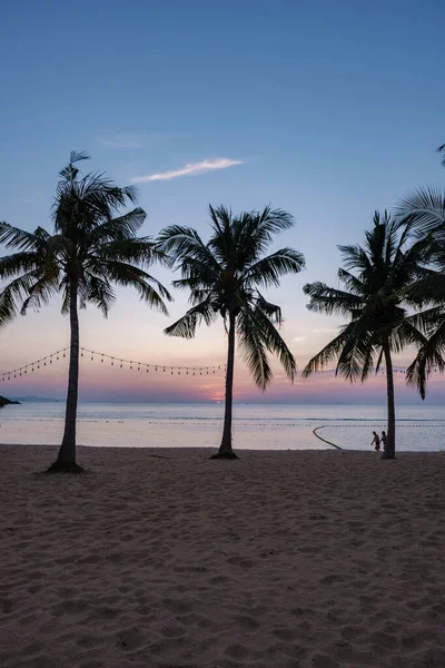 Najomtien plajı Pattaya Tayland, palmiye ağaçlı tropik bir sahilde gün batımı