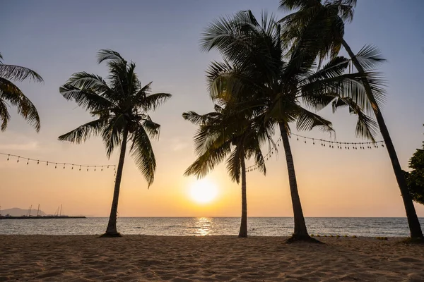 Najomtien plajı Pattaya Tayland, palmiye ağaçlı tropik bir sahilde gün batımı