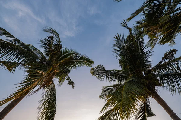 Strand van Najomtien Pattaya Thailand, zonsondergang aan een tropisch strand met palmbomen — Stockfoto