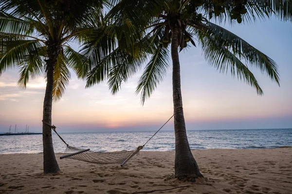 NaJomtien Pattaya Tailandia, Hamaca en la playa al atardecer con palmeras — Foto de Stock