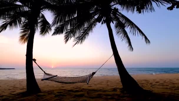 NaJomtien Pattaya Thailand, Hammock på stranden under solnedgången med palmer — Stockvideo