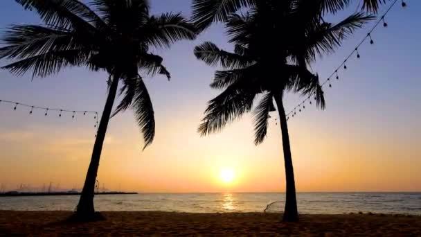 Najomtien海滩Pattaya Thailand，日落在热带海滩上，有棕榈树 — 图库视频影像