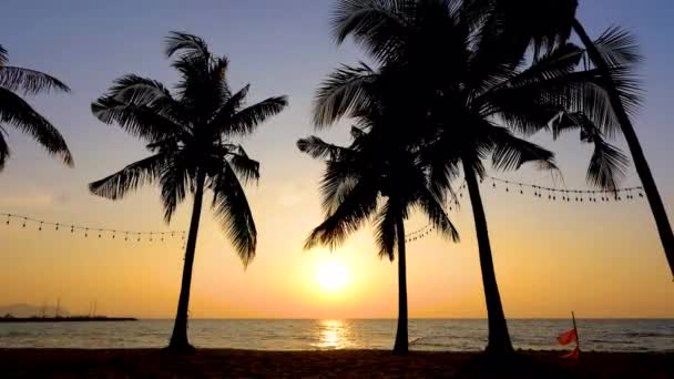 Pattaya Thailand), захід сонця на тропічному пляжі з пальмами. — стокове відео