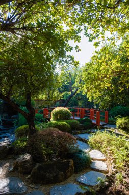 Chiang Mai Tayland 'daki bambu ormanı, Chiang Mai' deki Japon bahçesindeki bambu ormanı. Kırmızı Japon köprüsü olan bahçe.