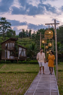 Kuzey Tayland 'daki İskandinav stil kulübesi Tayland' daki pirinç tarlalarına bakıyor, yeşil pirinç tarlalarına.