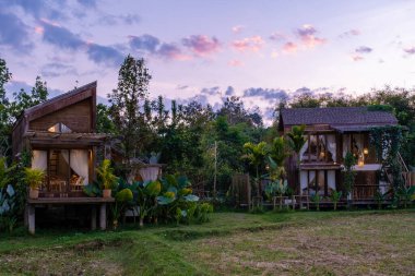 Kuzey Tayland 'daki İskandinav stil kulübesi Tayland' daki pirinç tarlalarına bakıyor, yeşil pirinç tarlalarına.