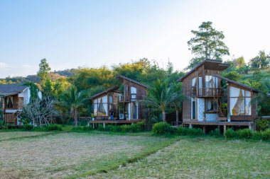 Kuzey Tayland 'daki İskandinav stil kulübesi Tayland' daki pirinç tarlalarına bakıyor, yeşil pirinç tarlalarına.