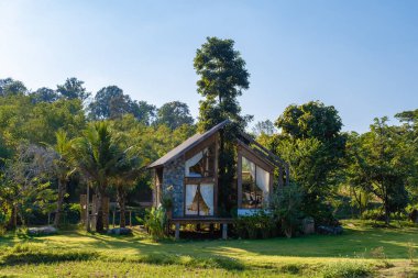 Kuzey Tayland 'daki İskandinav stil kulübesi Tayland' daki pirinç tarlalarına bakıyor, yeşil pirinç tarlalarına.