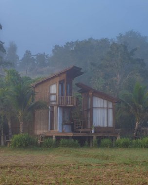 Kuzey Tayland 'daki İskandinav stil kulübesi Tayland' daki pirinç tarlalarına bakıyor, yeşil pirinç tarlalarına.