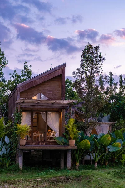 Ferienhaus im skandinavischen Stil in Nordthailand Nan Provinz Blick auf die Reisfelder in Thailand, grüne Reisfelder — Stockfoto