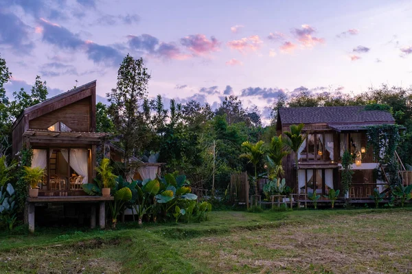 Scandanave styl chalet dans le nord de la Thaïlande Province de Nan donnant sur les rizières en Thaïlande, rizière verte — Photo