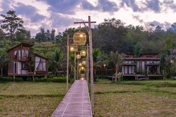 Kuzey Tayland 'daki İskandinav stil kulübesi Tayland' daki pirinç tarlalarına bakıyor, yeşil pirinç tarlalarına.