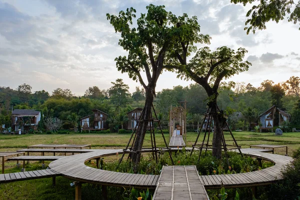 Kuzey Tayland 'daki İskandinav stil kulübesi Tayland' daki pirinç tarlalarına bakıyor, yeşil pirinç tarlalarına.