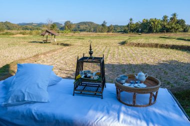 Nan Tayland 'ın kırsalındaki pirinç tarlalarına bakan bir çay.