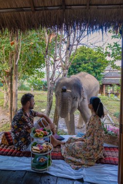 Chiang Mai Tayland 'da ormandaki fil, Chiang Mai Tailand ormanındaki fil çiftliği.