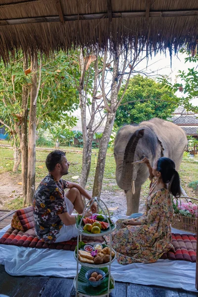 Chiang Mai Tayland 'da ormandaki fil, Chiang Mai Tailand ormanındaki fil çiftliği. — Stok fotoğraf