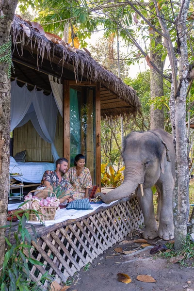 Elephant in jungle at sanctuary in Chiang Mai Thailand, Elephant farm in the moutnains jungle of Chiang Mai Tailand — Photo