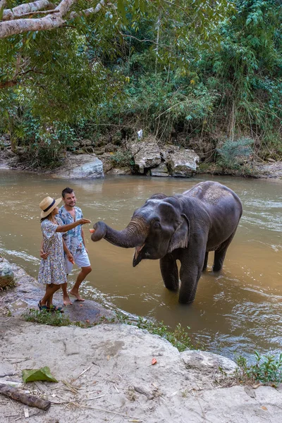 Słoń w dżungli w sanktuarium w Chiang Mai Tajlandii, Hodowla słoni w moutnains dżungli Chiang Mai Tai — Zdjęcie stockowe