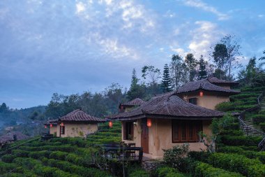 Lee Şarabı Rak Thai, Çin yerleşim yeri Mae Hong Son, Tayland 'da gün doğumunda Çin köyünde güzel manzara Ban Rak Thai' de çay çiftliği, Tayland 'da Mae Hong Son 