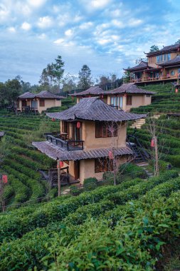 Lee Şarabı Rak Thai, Çin yerleşim yeri Mae Hong Son, Tayland 'da gün doğumunda Çin köyünde güzel manzara Ban Rak Thai' de çay çiftliği, Tayland 'da Mae Hong Son 