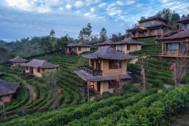 Lee Şarabı Rak Thai, Çin yerleşim yeri Mae Hong Son, Tayland 'da gün doğumunda Çin köyünde güzel manzara Ban Rak Thai' de çay çiftliği, Tayland 'da Mae Hong Son 