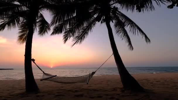 Najomtien plajı Pattaya Tayland, Pattaya Tayland 'da gün batımında palmiye ağaçlarıyla kaplı tropik bir plajda gün batımı. — Stok video