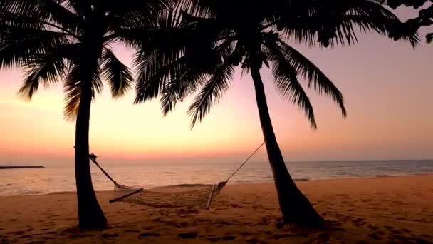 Playa de Najomtien Pattaya Tailandia, puesta de sol en una playa tropical con palmeras Playa de Na Jomtien con palmeras durante la puesta de sol en Pattaya Tailandia — Vídeos de Stock