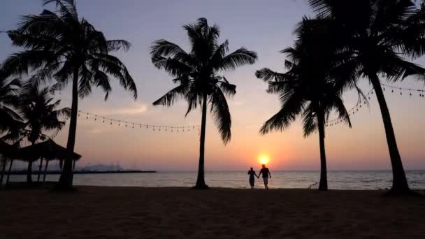 Najomtien strand Pattaya Thaiföld, naplemente a trópusi tengerparton pálmafákkal Na Jomtien strand barátokkal fák naplementekor Pattaya Thaiföld — Stock videók