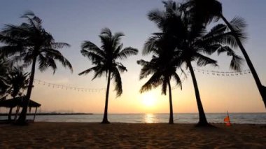 Najomtien plajı Pattaya Tayland, Pattaya Tayland 'da gün batımında palmiye ağaçlarıyla kaplı tropik bir plajda gün batımı.