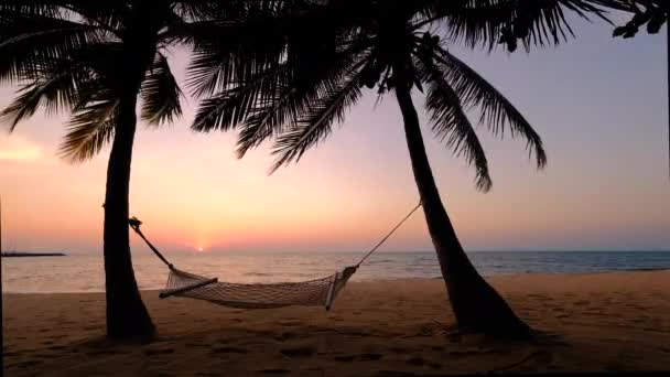 Stranden Najomtien Pattaya Thailand, solnedgång vid en tropisk strand med palmer Stranden Na Jomtien med palmer under solnedgången i Pattaya Thailand — Stockvideo