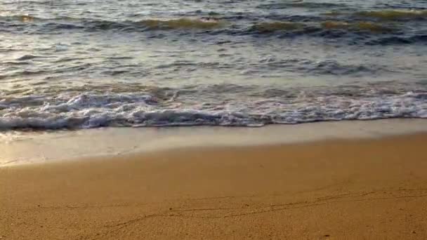 Najomtien strand Pattaya Thailand, zonsondergang aan een tropisch strand met palmbomen Na Jomtien strand met palmbomen tijdens zonsondergang in Pattaya Thailand — Stockvideo