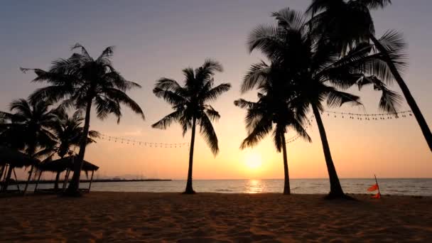 Palmeira tropical com luz solar no céu por do sol e nuvem fundo abstrato . — Vídeo de Stock