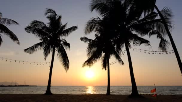 Spiaggia di Najomtien Pattaya Thailandia, tramonto su una spiaggia tropicale con palme Spiaggia di Na Jomtien con alberi amici durante il tramonto a Pattaya Thailandia — Video Stock