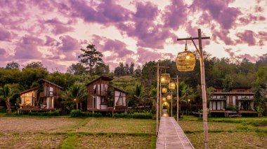 Kuzey Tayland 'daki İskandinav stil kulübesi Tayland' daki pirinç tarlalarına bakıyor, yeşil pirinç tarlalarına.
