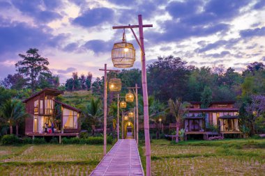 Kuzey Tayland 'daki İskandinav stil kulübesi Tayland' daki pirinç tarlalarına bakıyor, yeşil pirinç tarlalarına.