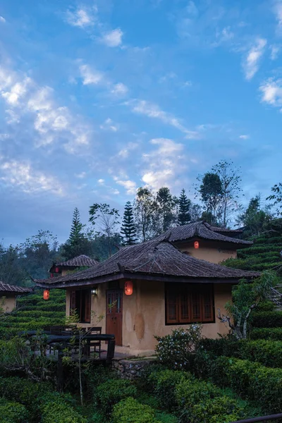 Lee Şarabı Rak Thai, Çin yerleşim yeri Mae Hong Son, Tayland 'da gün doğumunda Çin köyünde güzel manzara Ban Rak Thai' de çay çiftliği, Tayland 'da Mae Hong Son 