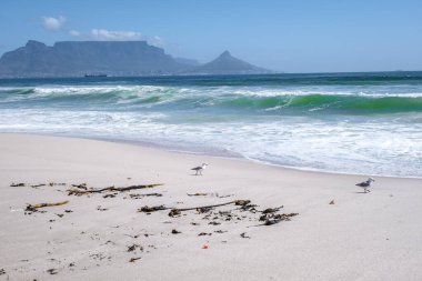 Bloubergstrand Cape Town Güney Afrika Açık bir yaz günü, Blouberg plajı, kum ve mavi okyanus 