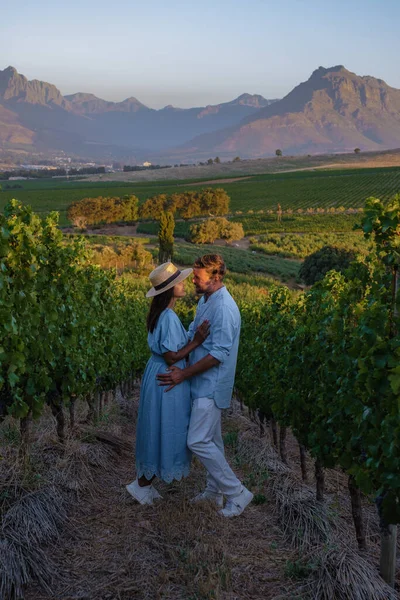 Vineyard landscape at sunset with mountains in Stellenbosch, near Cape Town, South Africa
