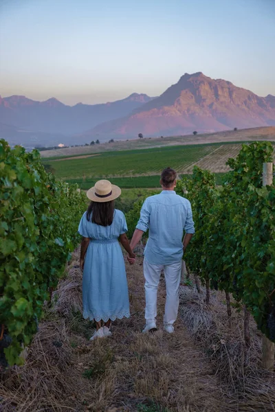 Vineyard landscape at sunset with mountains in Stellenbosch, near Cape Town, South Africa