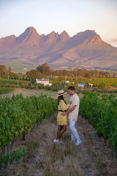 Vineyard landscape at sunset with mountains in Stellenbosch, near Cape Town, South Africa