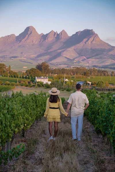 Vineyard landscape at sunset with mountains in Stellenbosch, near Cape Town, South Africa