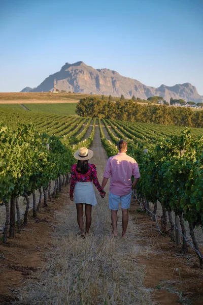 Vineyard landscape at sunset with mountains in Stellenbosch, near Cape Town, South Africa